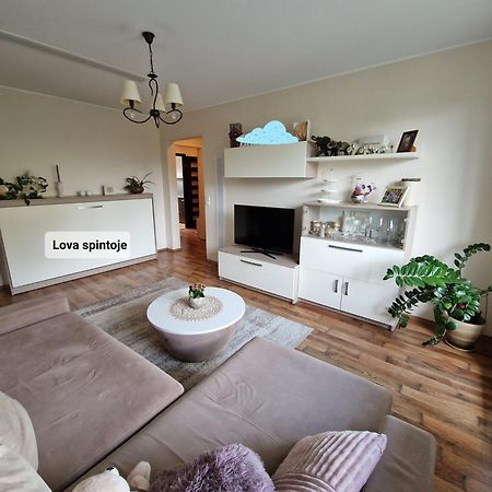 Siaure Appartement Kaunas Buitenkant foto