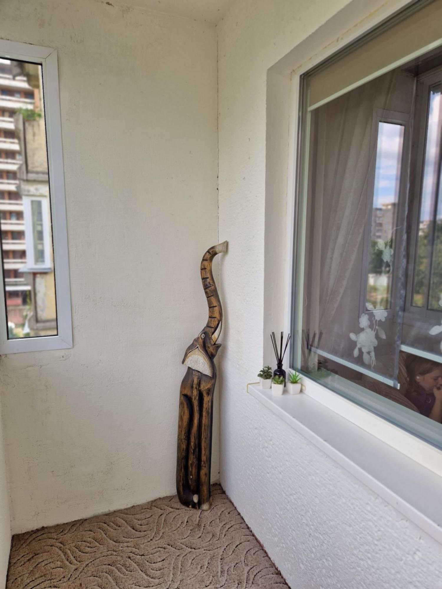 Siaure Appartement Kaunas Buitenkant foto