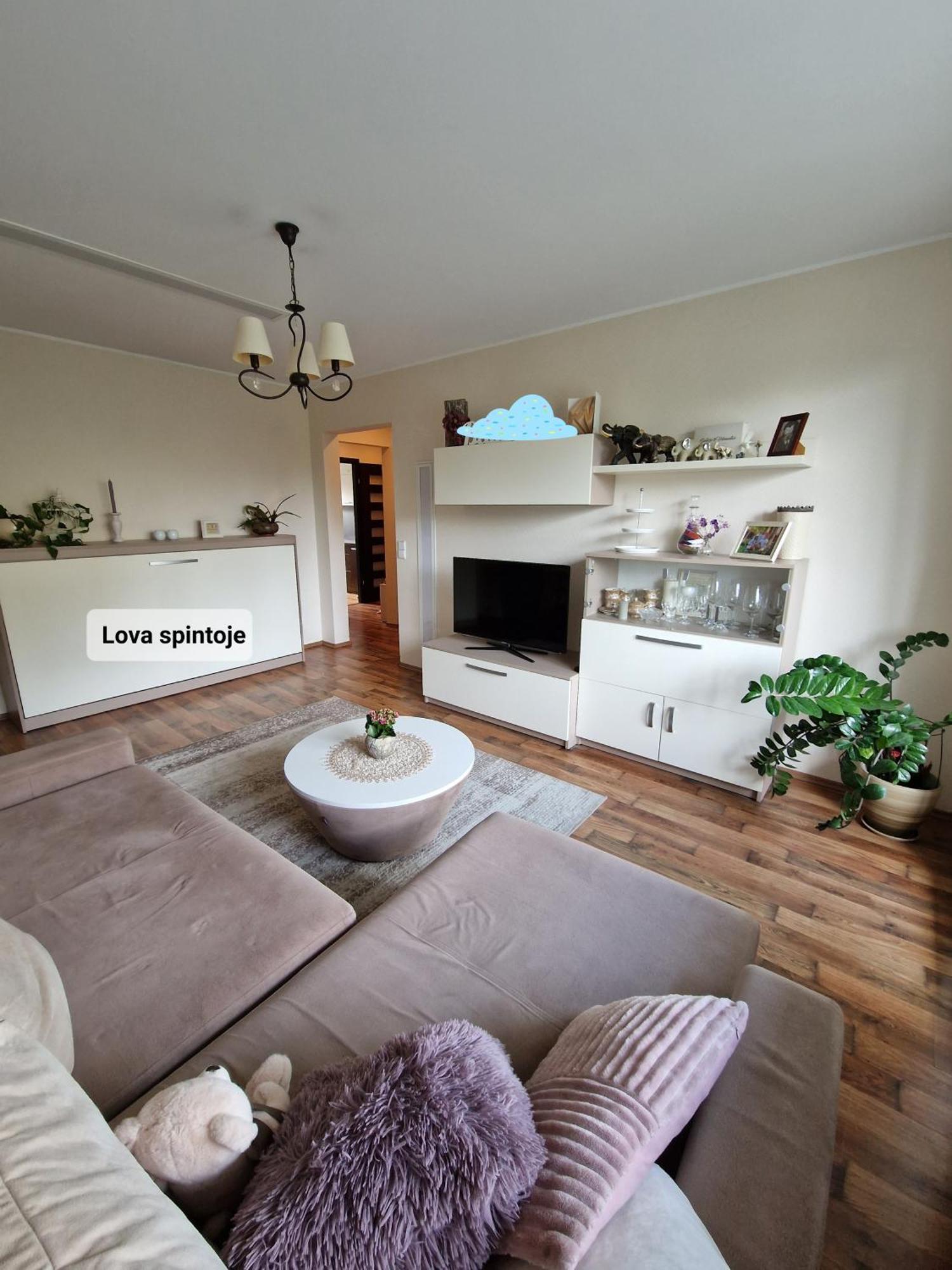 Siaure Appartement Kaunas Buitenkant foto